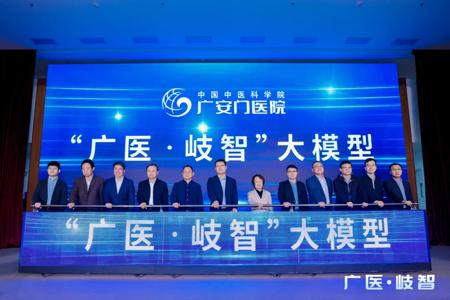 国内首款中医 AI 大模型 “广医・岐智” 发布
