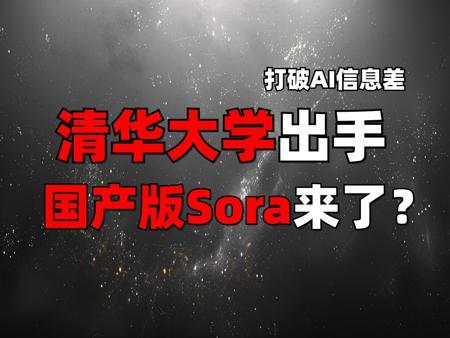 清华出手必属精品，国产之光vidu来了（附申请教程）