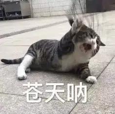 AI搜索一夜变天,专为Agent做搜索的赛道能否诞生百亿美金新巨头?