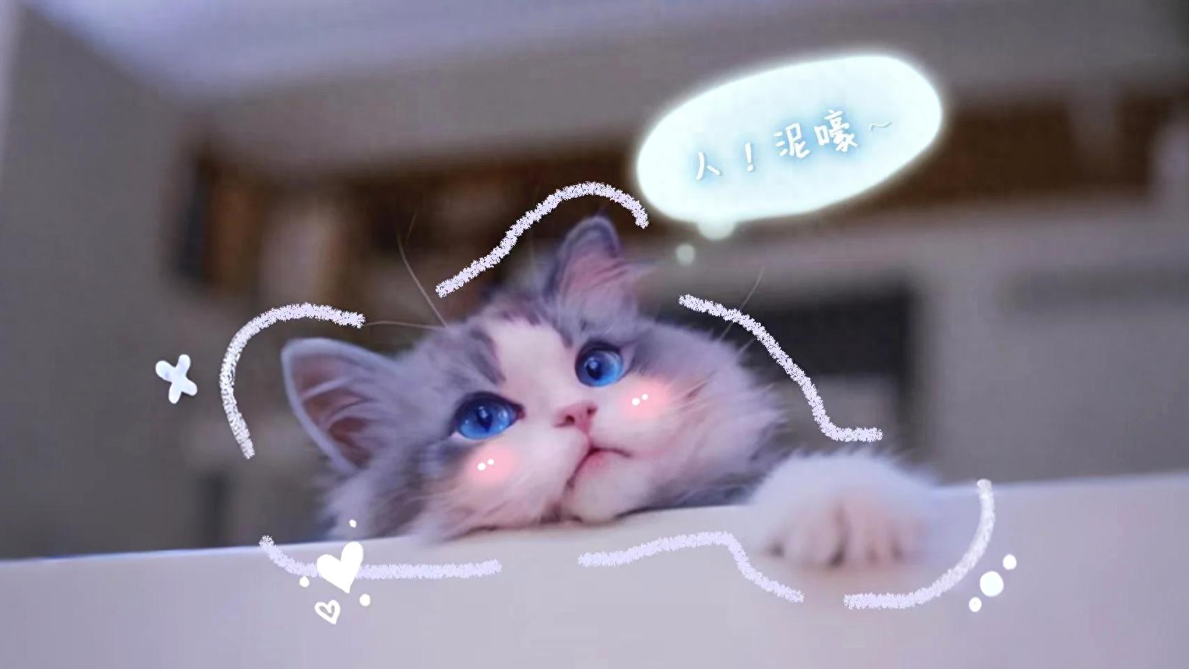 第一批玩AI的猫主子来了，摸头都有新花样，和猫聊天还不重样