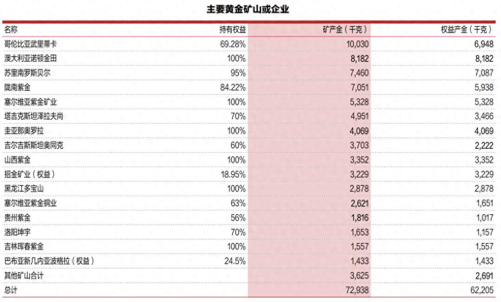 中国金王的“点金术”：再造千亿独角兽？